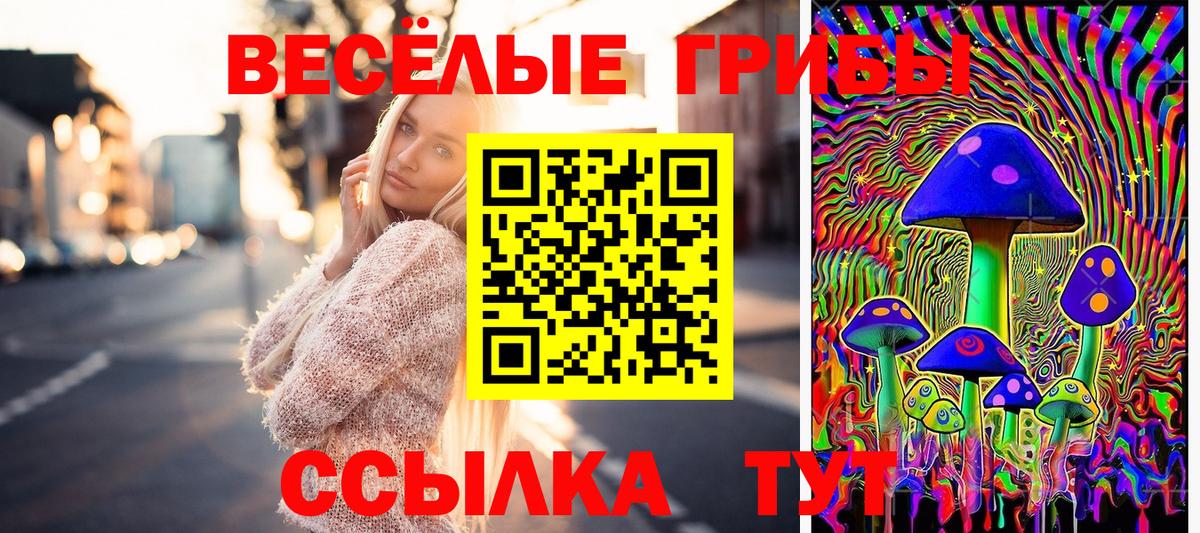 Галлюциногенные грибы Psilocybine cubensis Гурьевск