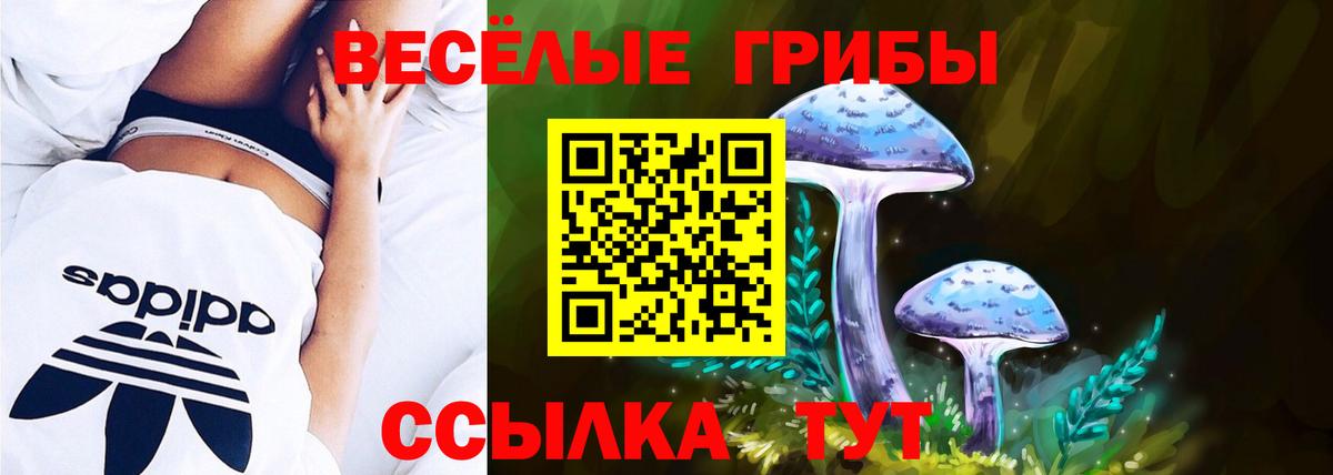 цена   Вход с VPN  Гурьевск  Галлюциногенные грибы Cubensis 